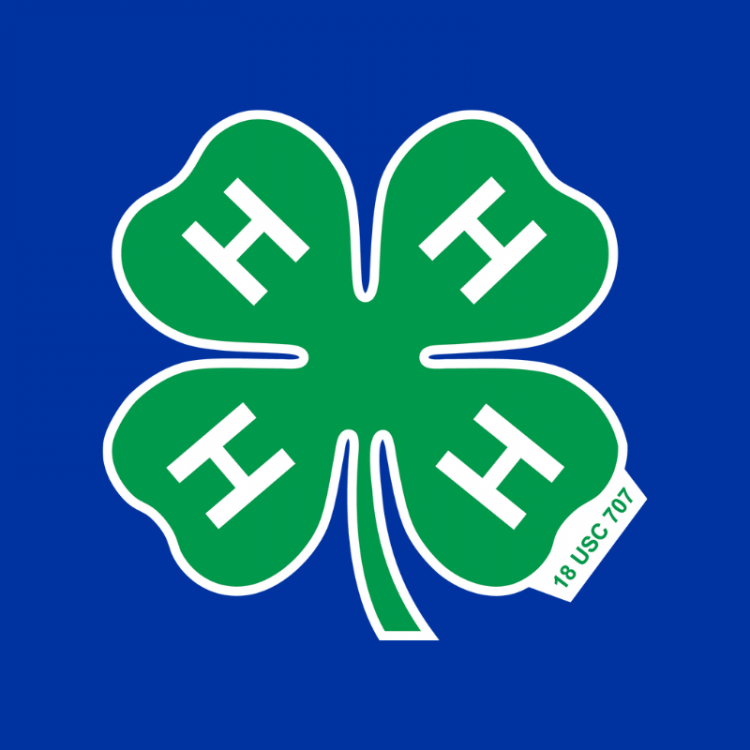  4-H clover with Blue Background 