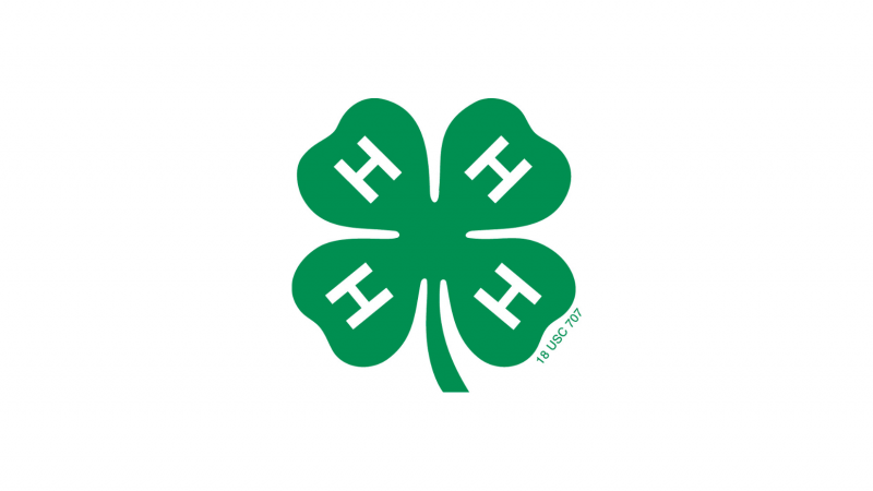 4-H Clover