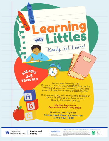 Learning with Littles Flyer