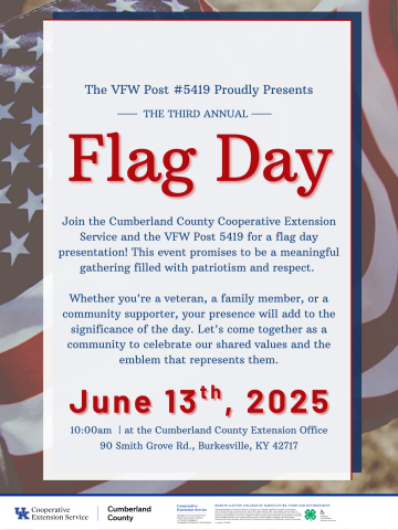 Flag Day 