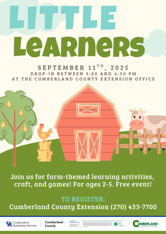 Little Learners Flyer for Event