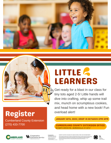 Little Learners Flyer for Event